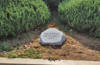 춘천시청 자연석형 화강석 기념식수 제작.시공